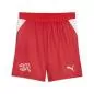 Preview: Switzerland Children WC Shorts - 2026